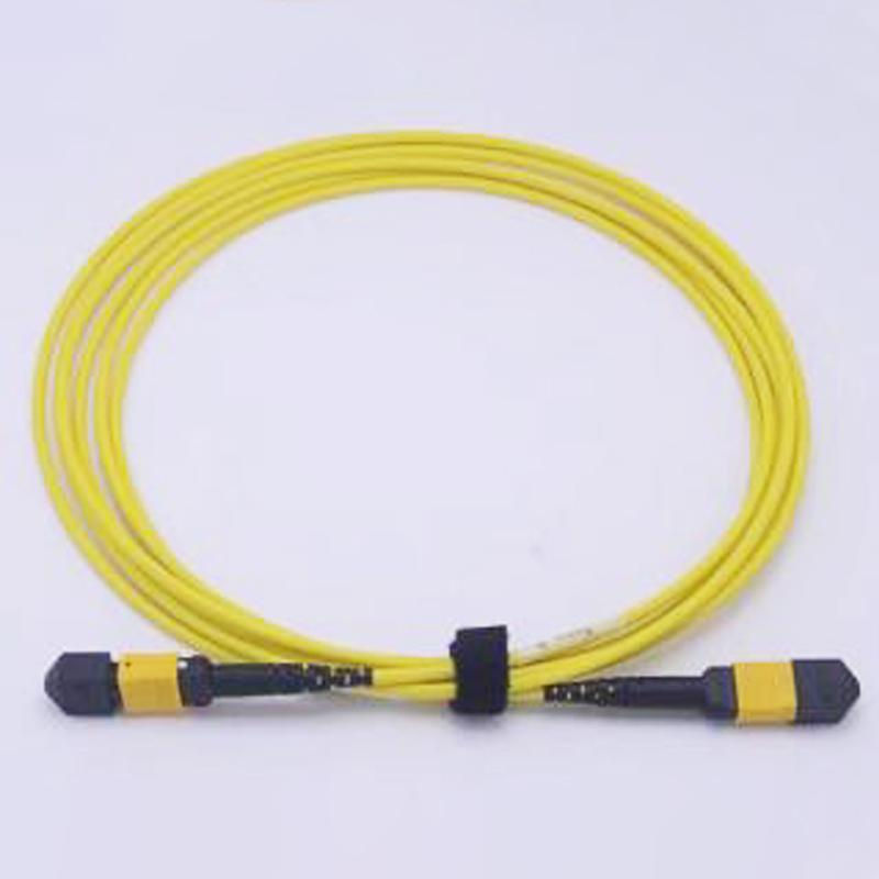 MTP/APC/F-MTP/APC/F-12F-SM -3.0