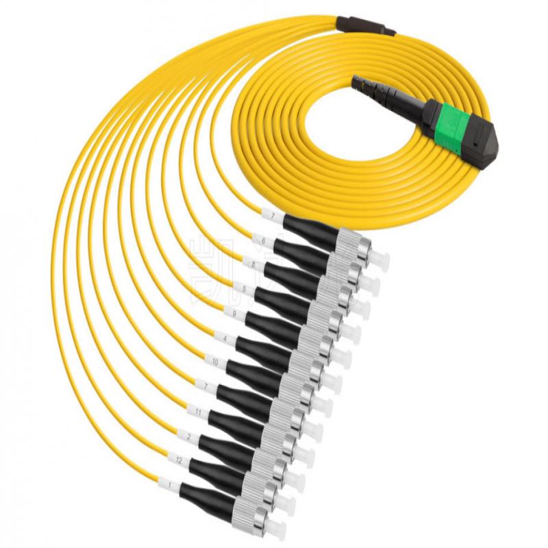 MPO-FC-SM-12F